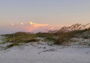 Hibiscus Oceanfront Living
