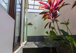 Hidden villa surrounded by lush rice fields