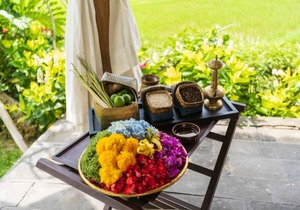 Hidden villa surrounded by lush rice fields