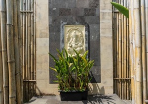 Hidden villa surrounded by lush rice fields