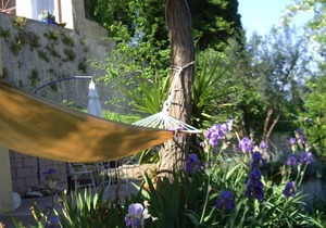 Hilltop paradise cottage, a stone's throw from Florence !