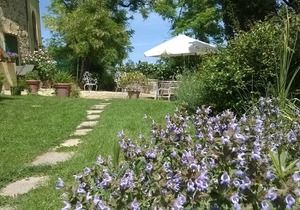 Hilltop paradise cottage, a stone's throw from Florence !