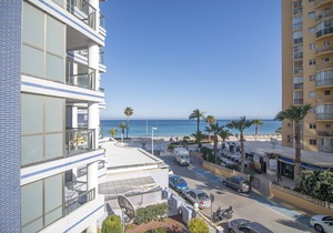 Hippocampus/First line/Wifi/Spa/Views/Heated pool/Pets