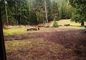 Historic Family Cabin just 0.4 miles from Mt. Rainier entrance