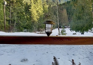 Historic Family Cabin just 0.4 miles from Mt. Rainier entrance