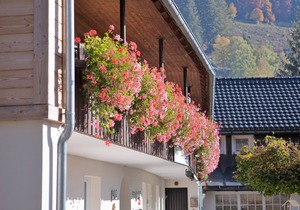 Hochkopf vacation apartment, 2nd floor, 40 sqm, 1 bedroom, max. 4 persons