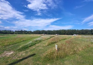Hoeve Twente - De Bonte Specht