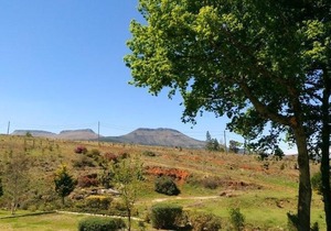 Hogsback Inn
