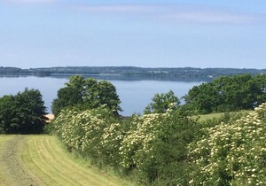 Hoheluft am Wittensee Apt 2