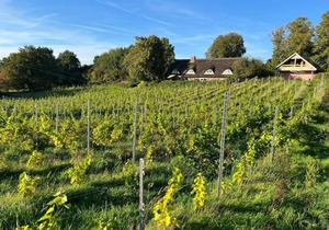 Hoheluft am Wittensee Apt 2