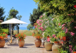 Holiday Apartment in farmhouse - Noce - Residenze San Martino