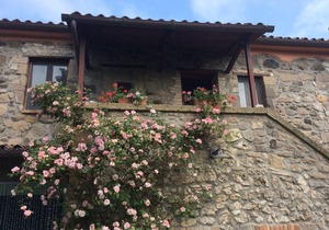 Holiday apartment Civitella d'Agliano for 1 - 3 persons with 1 bedroom - Holiday house