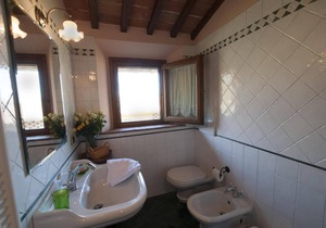 Holiday apartment Figline Valdarno for 1 - 4 persons with 2 bedrooms - Farmhouse