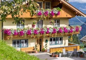 Holiday apartment at a farm