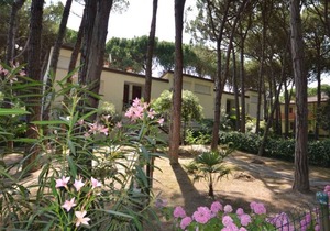 Holiday apartment 250 m from the beach