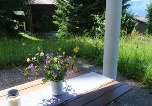 Holiday apartment Axalp for 1 - 4 persons - Holiday apartment