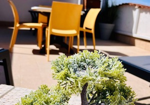 Holiday apartment Balestrate for 1 - 5 persons with 2 bedrooms - Holiday apartment in one or multi-f