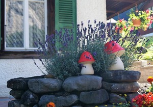 Holiday apartment Lauterbrunnen for 1 - 2 persons with 1 bedroom - Holiday apartment