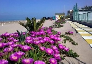 Holiday apartment Fano for 1 - 4 persons with 1 bedroom - Holiday apartment