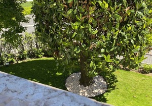 Holiday apartment 200 m to the beach