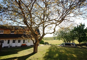 Holiday apartment Koserow for 1 - 3 persons with 1 bedroom - Holiday apartment in one or multi-famil