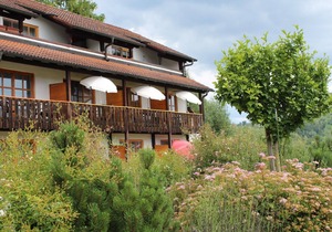 Holiday apartment Obernzell for 1 - 2 persons with 1 bedroom - Holiday apartment
