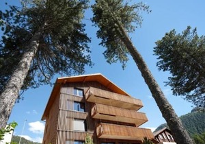Holiday apartment Pontresina for 1 - 8 persons with 4 bedrooms - Holiday apartment