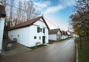 Holiday apartment Stillfried for 1 - 4 persons with 1 bedroom - Holiday apartment