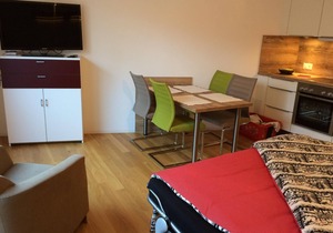 Holiday apartment St. Moritz for 1 - 2 persons - Holiday apartment in one or multi-family house