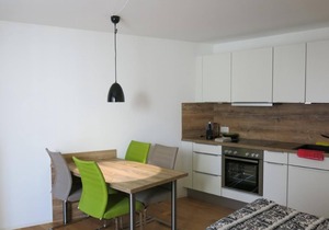 Holiday apartment St. Moritz for 1 - 2 persons - Holiday apartment in one or multi-family house