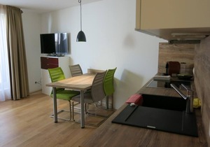 Holiday apartment St. Moritz for 1 - 2 persons - Holiday apartment in one or multi-family house