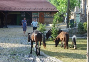Holiday Farm Rashaville-Rasino Selo