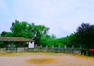 Holiday Farm Rashaville-Rasino Selo