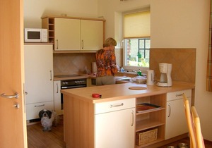 Holiday house for 5 guests with 70m² in Fehmarn OT Wenkendorf (12294)