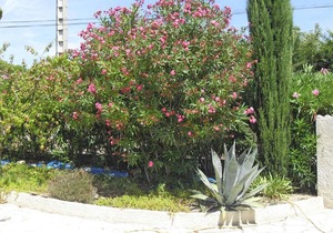 Holiday Home Argeliers - LDR031003-F