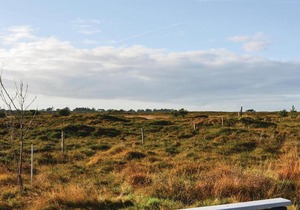 Holiday home E. Mikkelsensvej Rømø Denm