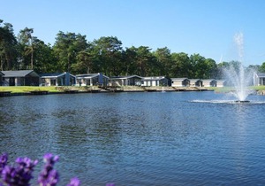 Holiday Home EuroParcs Resort Zilverstrand-4