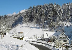 Holiday home in Black Forest National Park