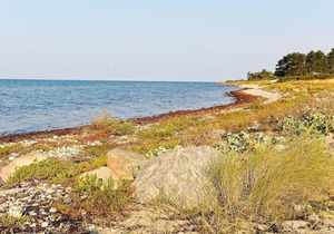 Holiday home Martofte II