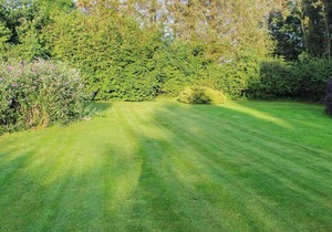 Holiday home Roslev XVI