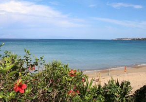 Holiday house amid olive groves, sea view, wifi | Messenia, Peloponnese