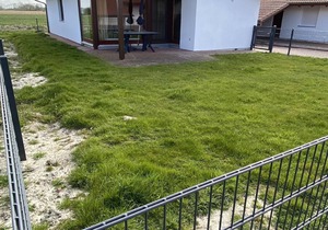 Holiday house Eckwarderhörne for 1 - 6 persons with 3 bedrooms - Holiday home