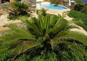 Holiday house Mochlos for 2 - 9 persons with 4 bedrooms - Luxury holiday home