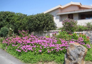 HOLIDAY HOUSE WITH HUGE GARDEN AND SUPERB VIEW OF THE SEA AND THE MOUNTAINS