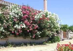 HOLIDAY HOUSE WITH HUGE GARDEN AND SUPERB VIEW OF THE SEA AND THE MOUNTAINS