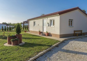 Holiday house with private pool for 6-8 persons in the holiday park Jelovci