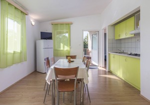 Holiday house with private pool for 4-6 persons in the holiday park Jelovci