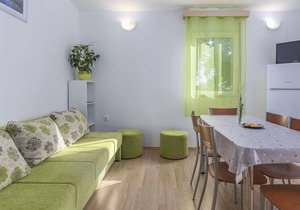 Holiday house with private pool for 6-8 persons in the holiday park Jelovci