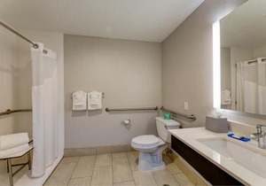 Holiday Inn Express & Suites Ashtabula-Geneva by IHG