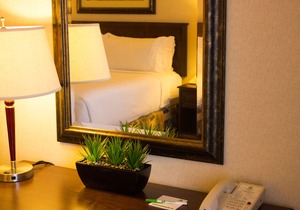 Holiday Inn Hotel & Suites-West Edmonton, an Ihg Hotel